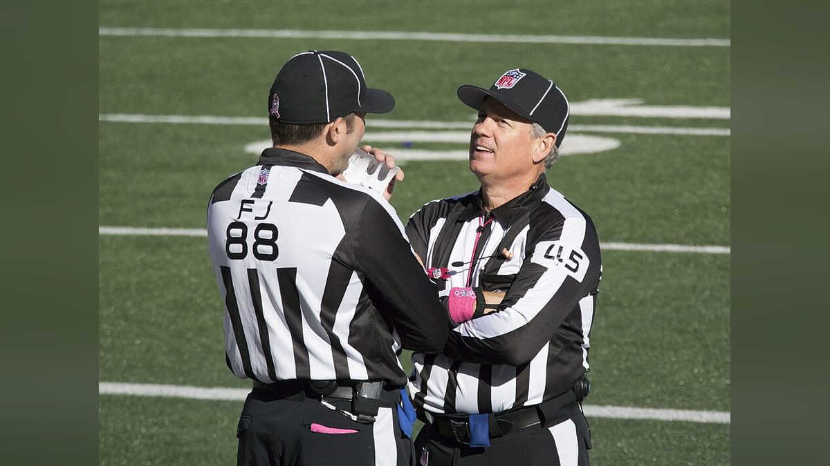 NFL Suspends Two Officials After Sunday's On-Field Incidents